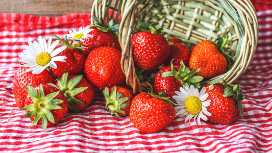 Exploring the Essence of Strawberry Fields